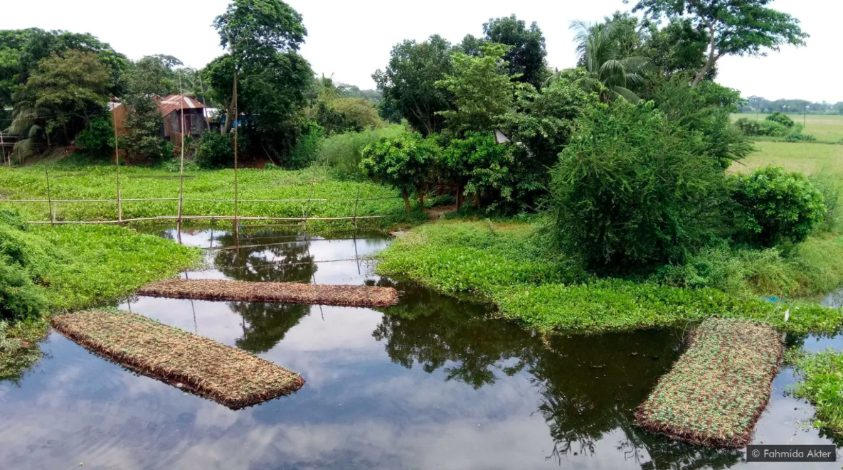 Los jardines flotantes de Bangladesh – mimus.mx